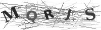 Please refresh your browser to see this image.